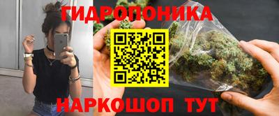 Альфа ПВП Обнинск