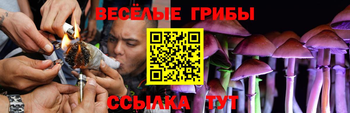 Псилоцибиновые грибы прущие грибы Сатка